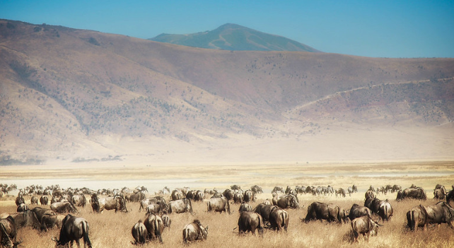 3 Days Serengeti and Ngorongoro Crater