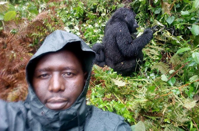 5 days gorilla trekking and Queen Elizabeth national park safari