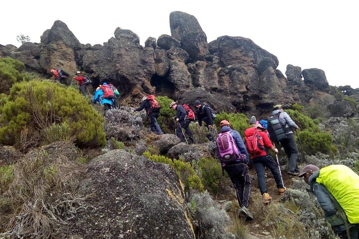 5 days Mt Kenya climbing adventure via Narumoru route