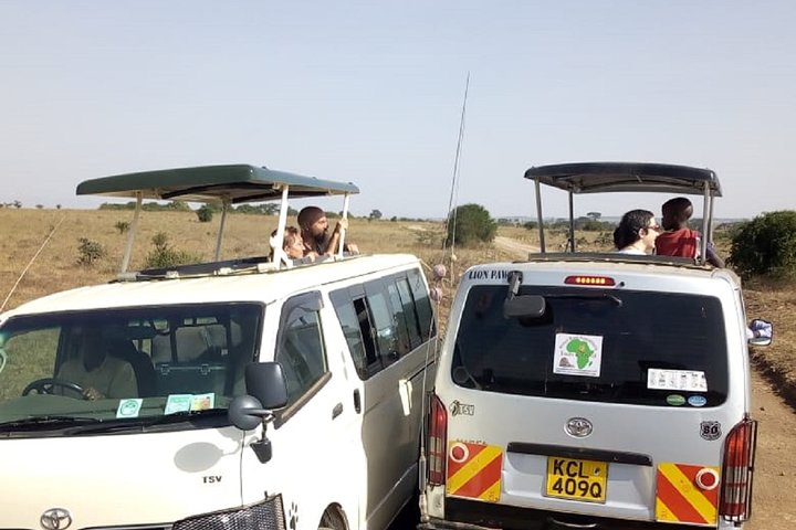 7 Days Maasai Mara, Lakes Nakuru, Naivasha & Amboseli Group Tour