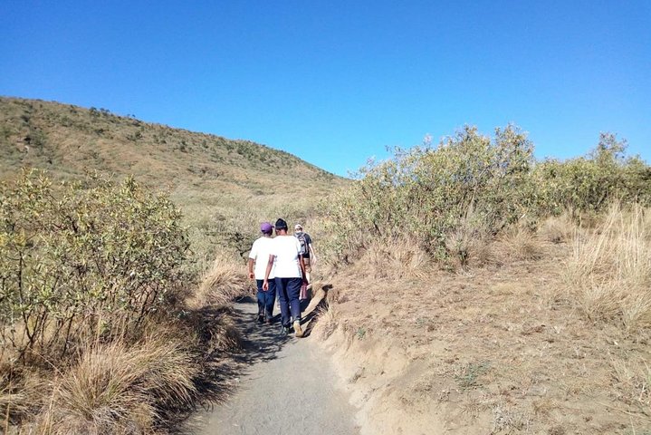 7 days Mt Kilimanjaro hiking via Rongai Route