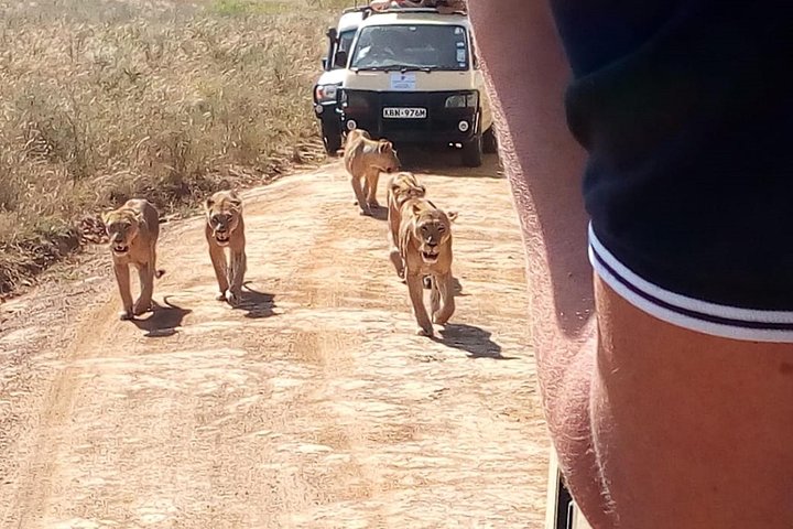 Giraffe Center, Elephant Orphanage, Nairobi Park