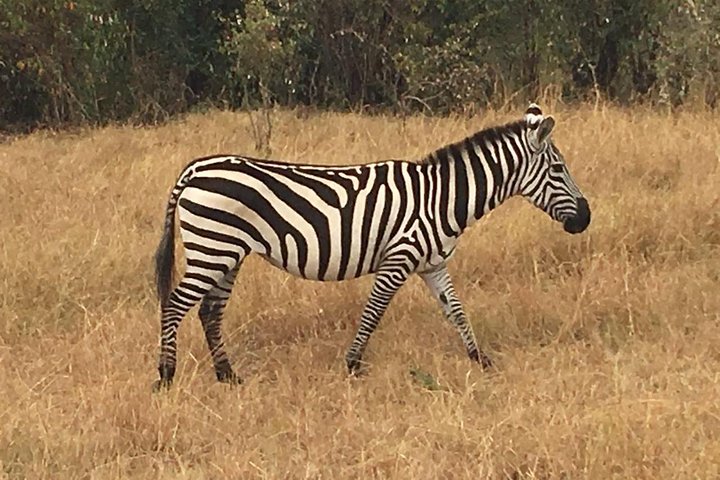 Lake Nakuru National Park Day Tour